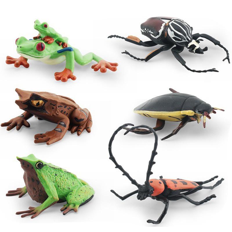 Realistic Pvc Insect Model Set Including Rhinoceros Beetle And Dragonfly For Decoration