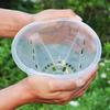 Clear Orchid Pot Breathable Flower Pot with Saucer Plant Pot with Side Ventilation Holes Drainage for Phalaenopsis Healthy Growth