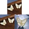 Butterfly Brooch For Women With Shell Material Elegant Animal Jewelry Gift For Summer 2024