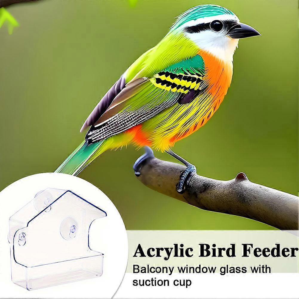 Clear Acrylic Bird Feeder with Strong Suction Cup Easy-Clean, Perfect for Garden