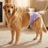 Adjustable Pet Diapers Leak-proof Dog Sanitary Panties Dog Physiological Pants  Pet Menstruation