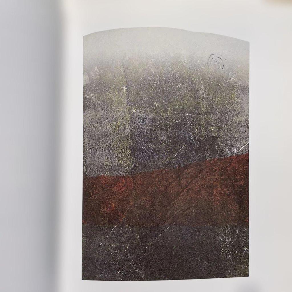 [USED] Rare Yoshikatsu Tamekane - Works of prints 1986~2000 Print collection