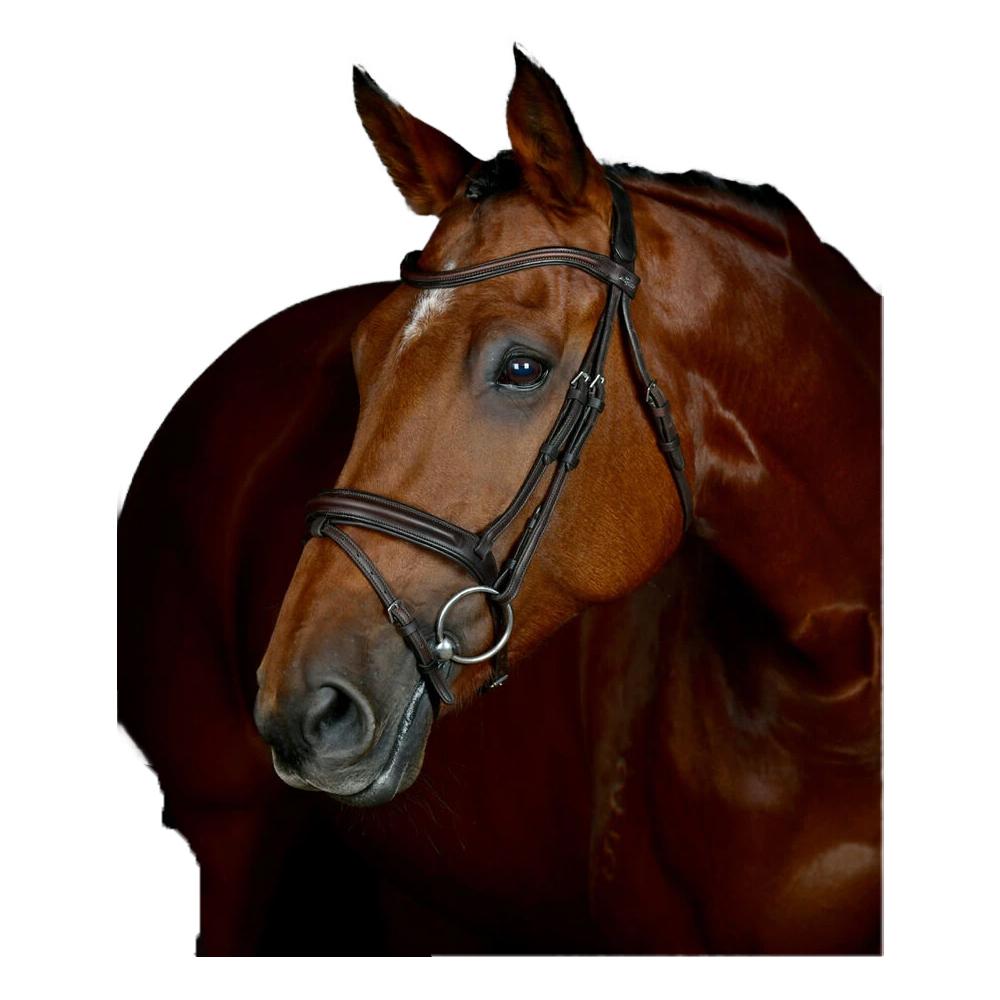 Collegiate Comfitec Leather Horse Bridle