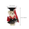 DIY Materials Bear Flower Bouquet Dr. Bear Stuffed Plush Doll New Doctor Bear Doll  Graduation