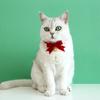 Cat Collar Adjustable Quick Release Super Soft Friendly To Skin Easy-wearing Dress Up Velvet