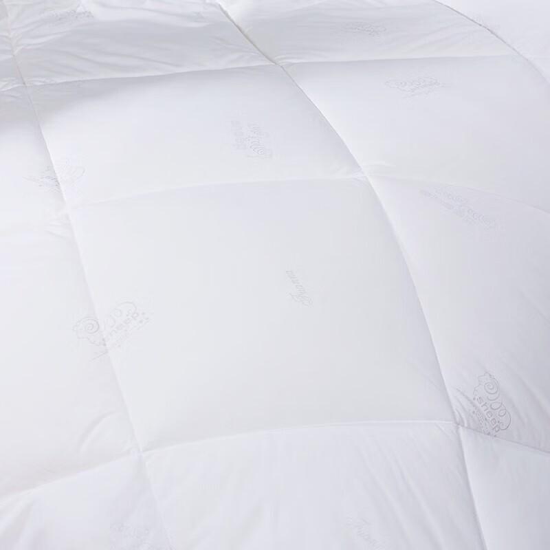 Fuanna Premium All-Season Duvet
