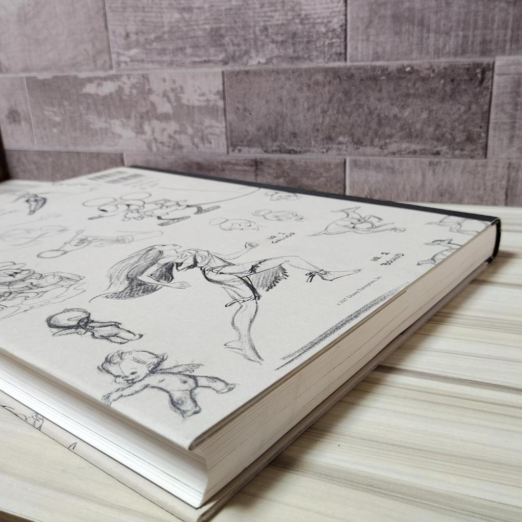 [USED] Disney Sketchbook Disney Animation Sketchbook