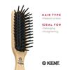 GB KENT Detangling Cushion Perfect for Your Hair Series PF20 Warrant Hairbrush, (Royal Holder)