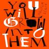 You Will Grow Into Them by Malcolm Devlin Paperback Book 9781914391156