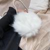 Mao Mao bag Xiaohongshu 2025 autumn and winter new trendy Korean version portable shoulder messenger bag pearl fashion small cross bag