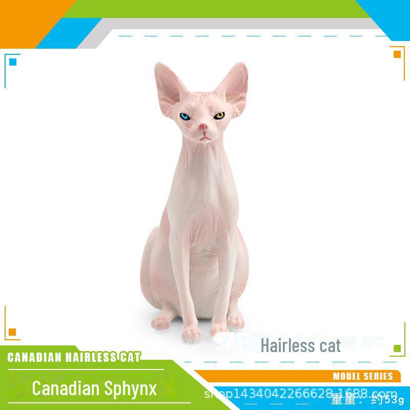Seashell Cat Figurine: Realistic Kitten Toy Model