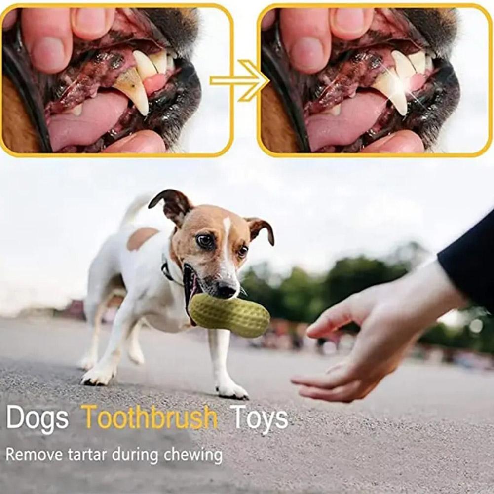 Squeaky Dog Toys Interactive, Peanut Shape Dog Toys Teeth-Cleaning Squeak Dog Chew Toy, Durable for Medium Dogs, Large & Small Breeds - Puppy Teething