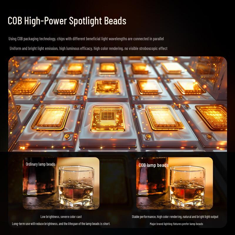 Professional 300W COB LED Studio Video Light