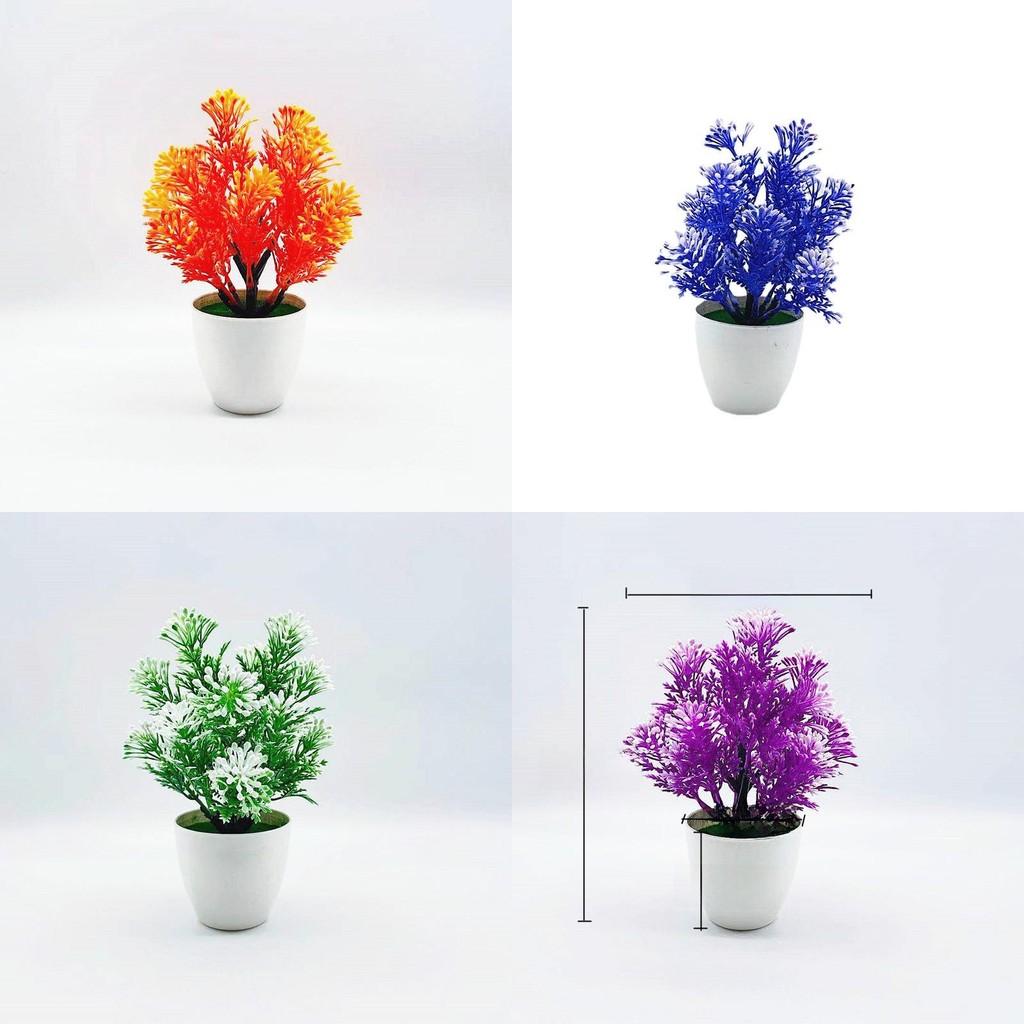 Odorata Lour Aglaia Potted Plant Bonsai Living Room And Event Decoration