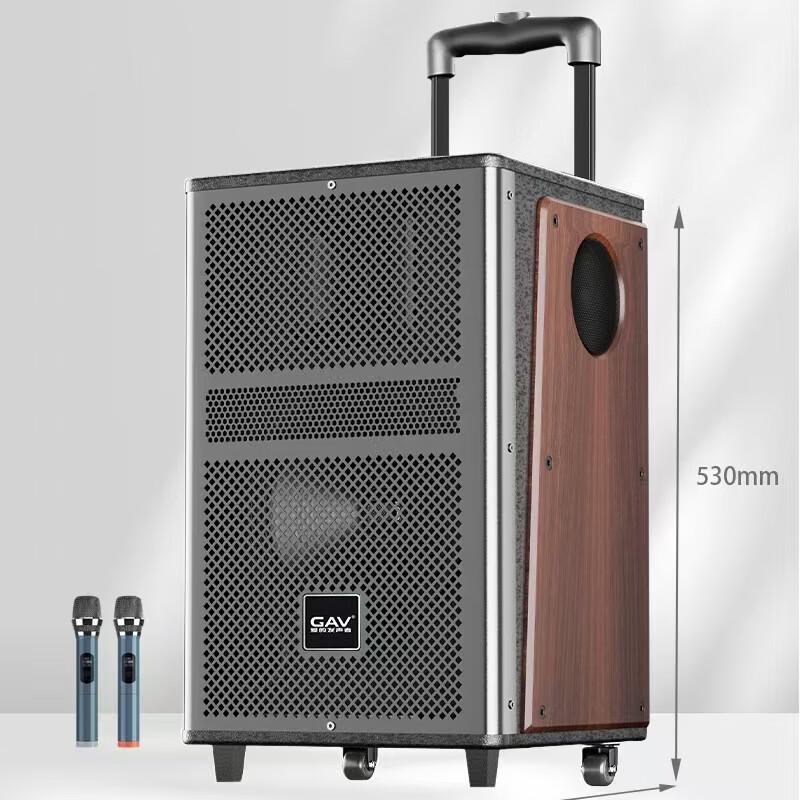 GAV K815 15-inch Bluetooth Trolley Speaker with Dual Mics