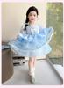 Girls' Summer Dress 2026 New Style Baby Girl Elegant and Beautiful Elsa Princess Dress Children's Summer Dress Dress
