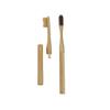 Popular in the world changeable bamboo toothbrush head