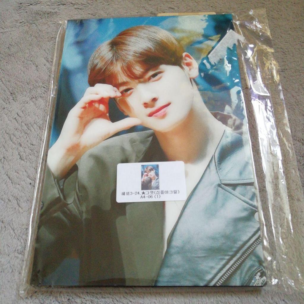 [USED] ASTRO Cha Eunwoo Wooden Photo Stand A4