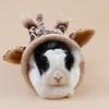 Small Pet Tunnel Hideout Portable Rabbit for Play Tube Foldable Tunnels Safe Non Toxic for Kitten Bunny Easy Storag X3UC
