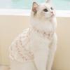 Spring and summer thin daisy skirt lace collar cat and dog clothing two-legged casual wear