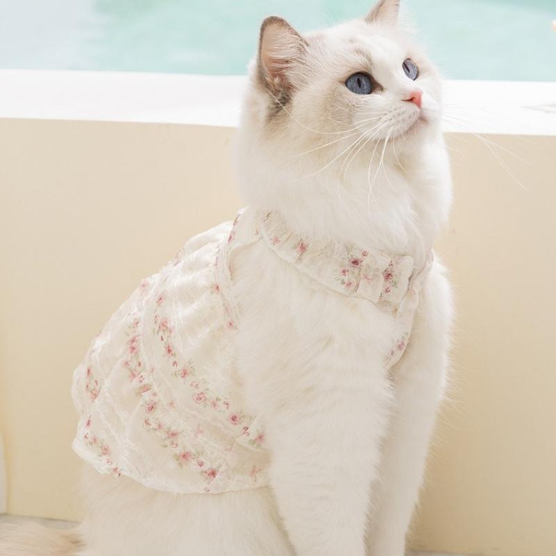 Spring and summer thin daisy skirt lace collar cat and dog clothing two-legged casual wear