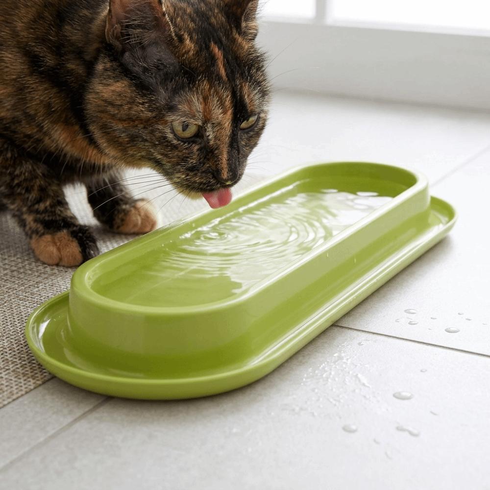 Anti Slip Pet Bowl Extra Long Cat Dog Feeder Ant-Proof Design Cat Water Feeder Pet Household