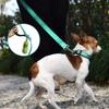 NESTROAD Dog Reflective At Easy To for and Large Gentle On the Escape Nylon 1 Leash, Night, Hold, 1.5M Length, Small, Medium, Dogs, Hand, Training,