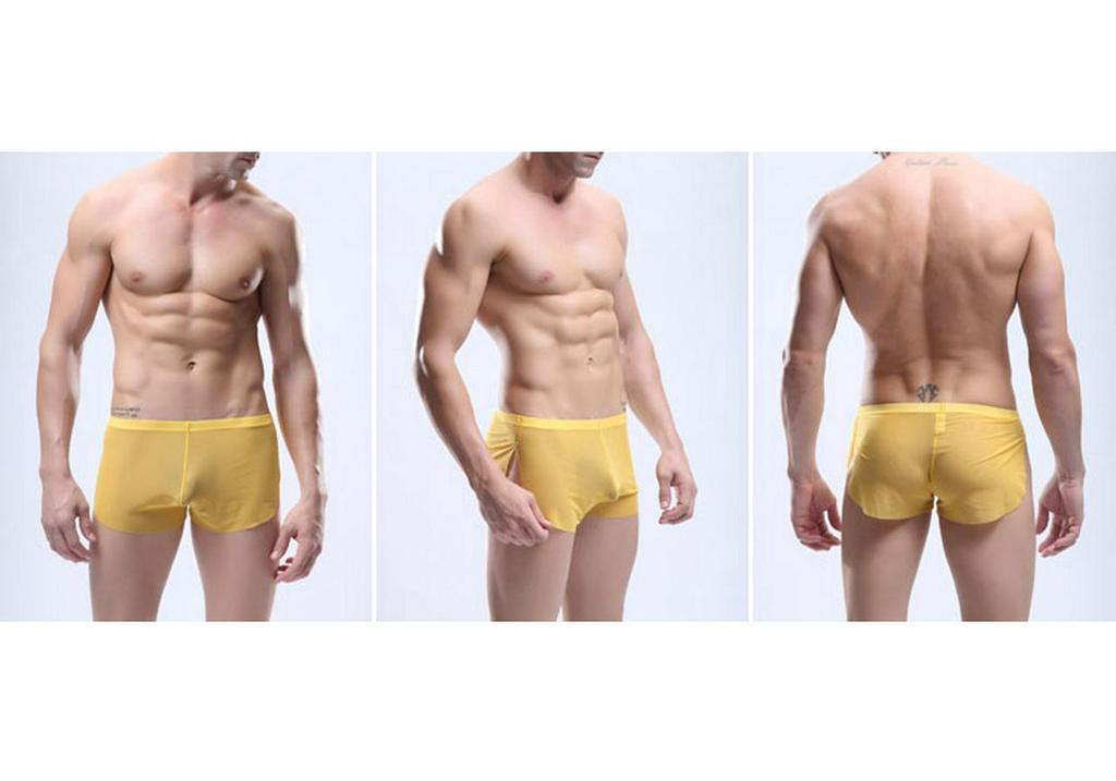 Popular European & American Men's Transparent Underwear: Mesh Boxer Sports Pants, Breathable Low-Waist Home Wear