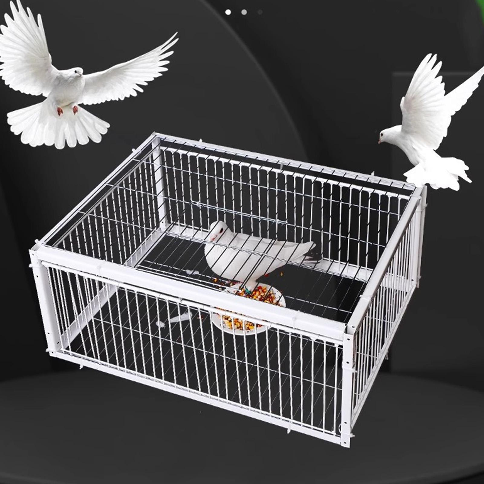 

Bird Trap Cage Single Way Entry Sturdy Rust Resistant Versatile Portable Escape Proof Animal Trap Cage for Farm Garden Warehouse M