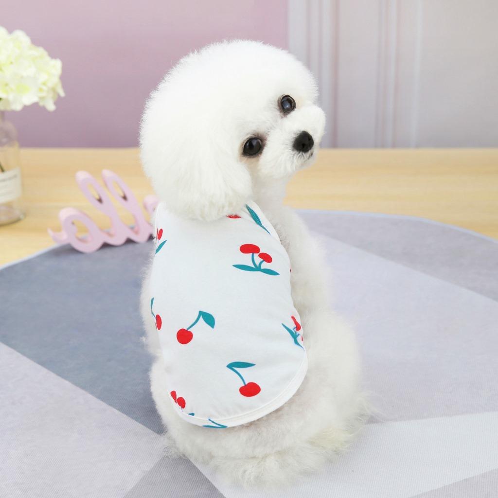 Pet Dog Clothes Spring and Summer Thin Teddy Bichon Pomeranian Yorkshire Terrier Small Dog Cat Vest Cherry Suspender