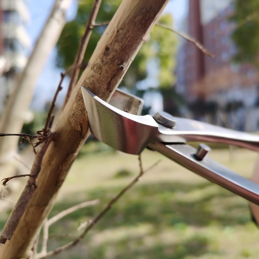 Bonsai-Schnittwerkzeug, Wurzelschneider, Edelstahl, hohe Härte, Scherkugelgelenk, Zweige, Schnittzange, Blumengartenwerkzeug
