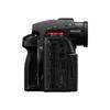 Panasonic Lumix S1R II Full-Frame Mirrorless Camera (CN version)