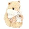 Sun Lemon Koromofuru Hamster Beige 12 X 15 X 14 Cm Plush Animal P-8272