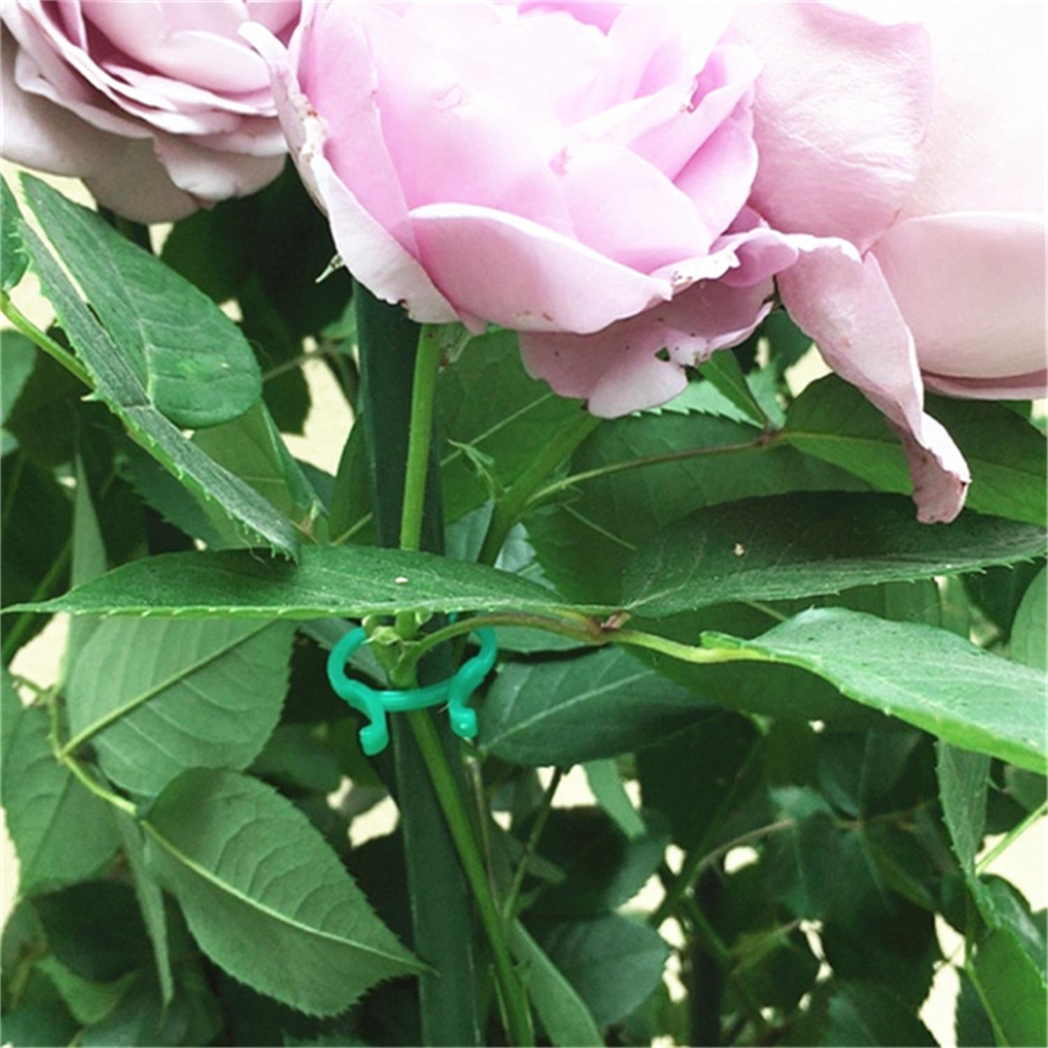 

Garden Green Butterfly-Shaped Garden Plant Clips 100-Pack M Lever Loop Gripper United States