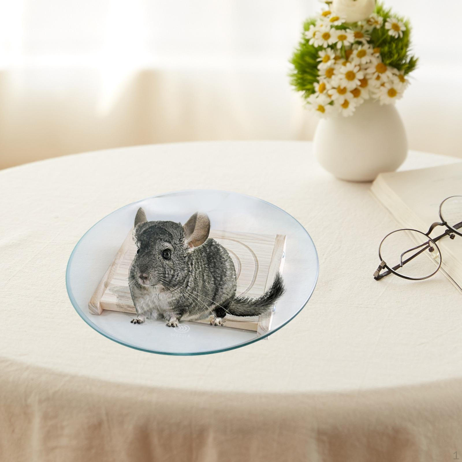 

Hamster Wheel Running Turntable Toy Smoothly for Mouse Small Animals Mice
