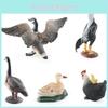 Modelos Realistas de Animais de Quinta em PVC de Pata Mãe, Pintinho, Galinha e Ganso para Decoração