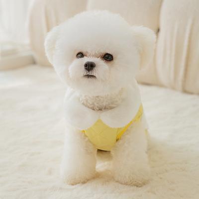 Cute Bear Embroidery Autumn and Winter Dog Clothes Quilting Cotton Warm Two-legged Vest Than Bear Traction Pet Vest