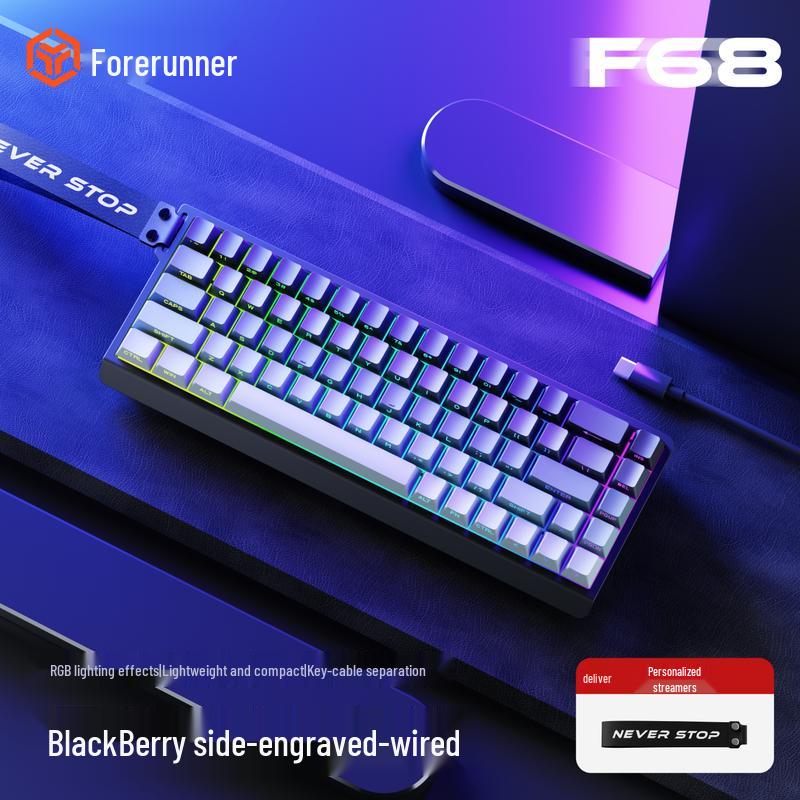 EWEADN F68 68 Tuşlu RGB Membran Oyuncu Klavyesi