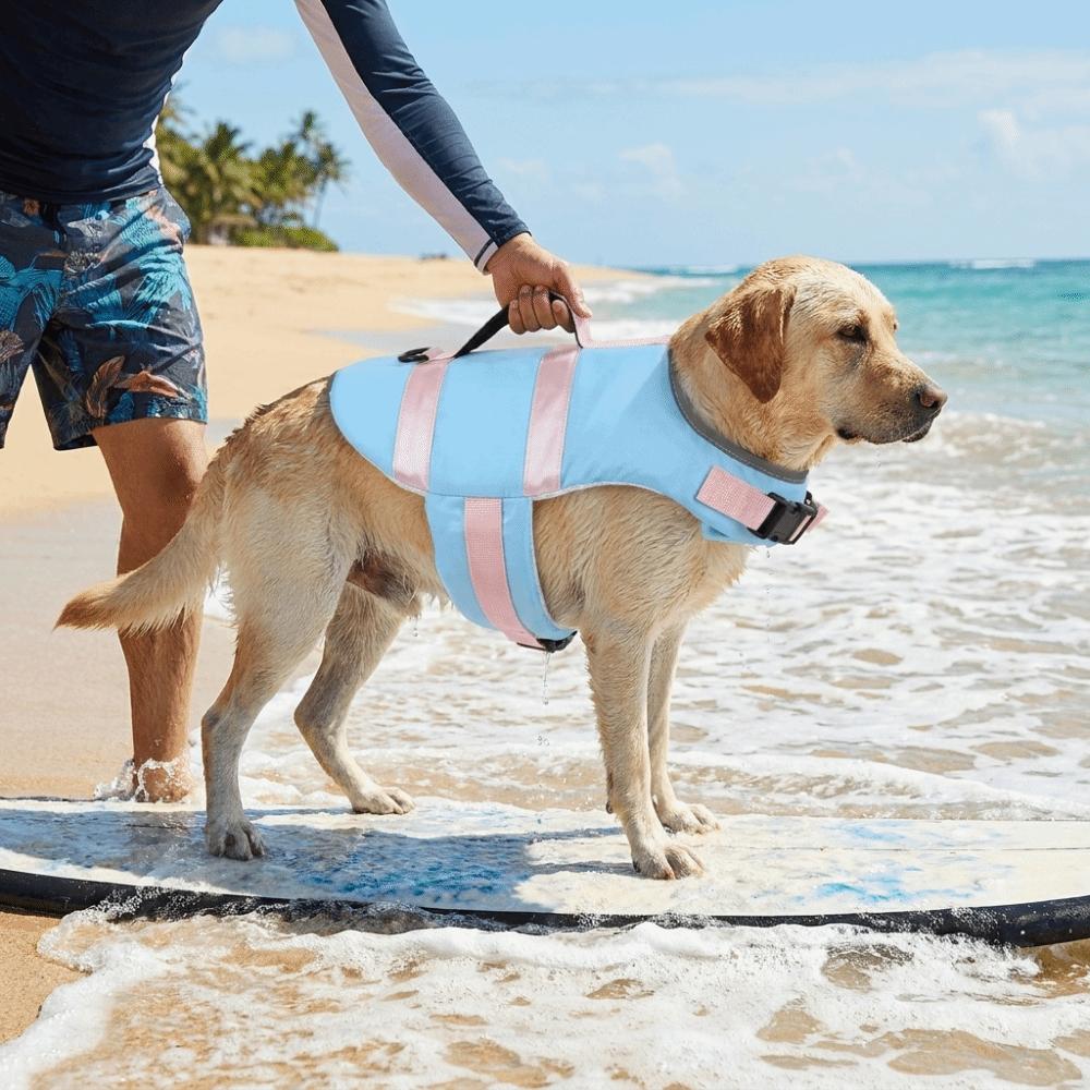Verstellbare Hunde-Schwimmweste Hoher Auftrieb Hunde-Schwimmkleidung Hundebadeanzug Hunde-Sicherheitswesten Strand