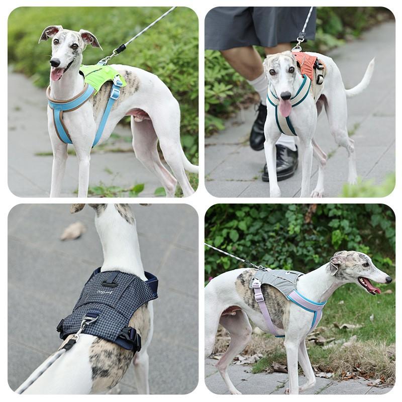 Medium Dog Harness No Pull Breathable Lightweight Pet Walking Outdoor Use