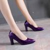 Versatile Temperament Shallow Single Shoes 2026 Spring and Summer New Pointed Toe High Heels Block Heel Women's Shoes