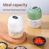 100/250ML Electric Garlic Chopper Mini USB Charging Meat Garlic Pepper Crusher Vegetable Food Cutter Kitchen Masher Gadgets