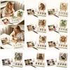 Forest Kit for DIY Crafts with Nature Design