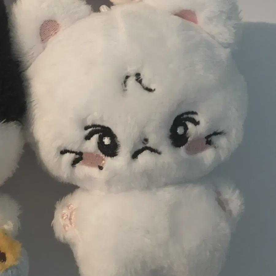 

Я делаю хлопковый Чонвон в Саду Enhypen!