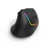 Ergonomic Wireless Rechargeable Vertical Large 11 RGB Lighting Multifunctional DPI Volume Carpal Tissue Compatible with Mouse, Design, Size, Modes,