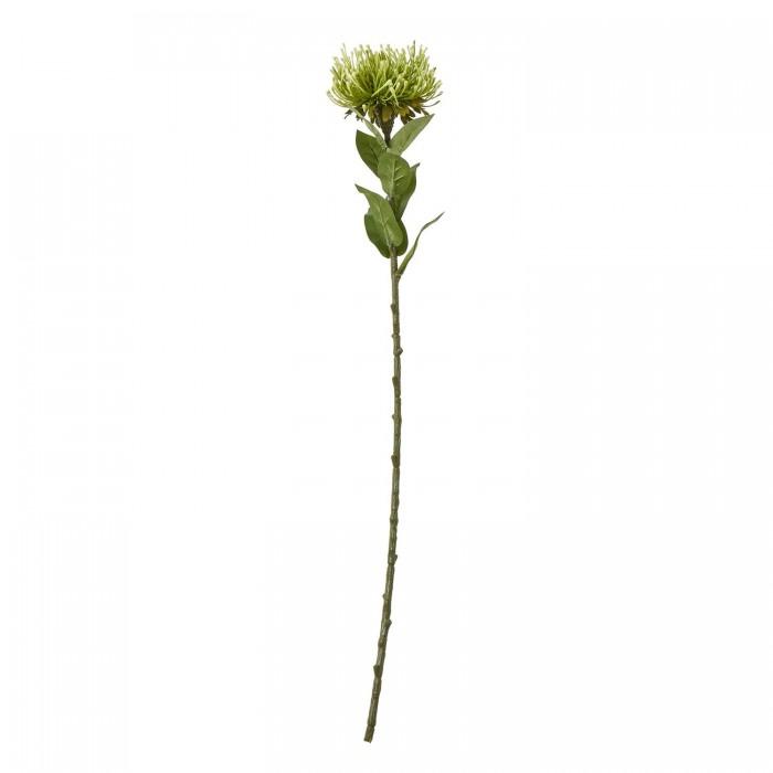 Hill Interiors Protea Lorea Stem Artificial Plant