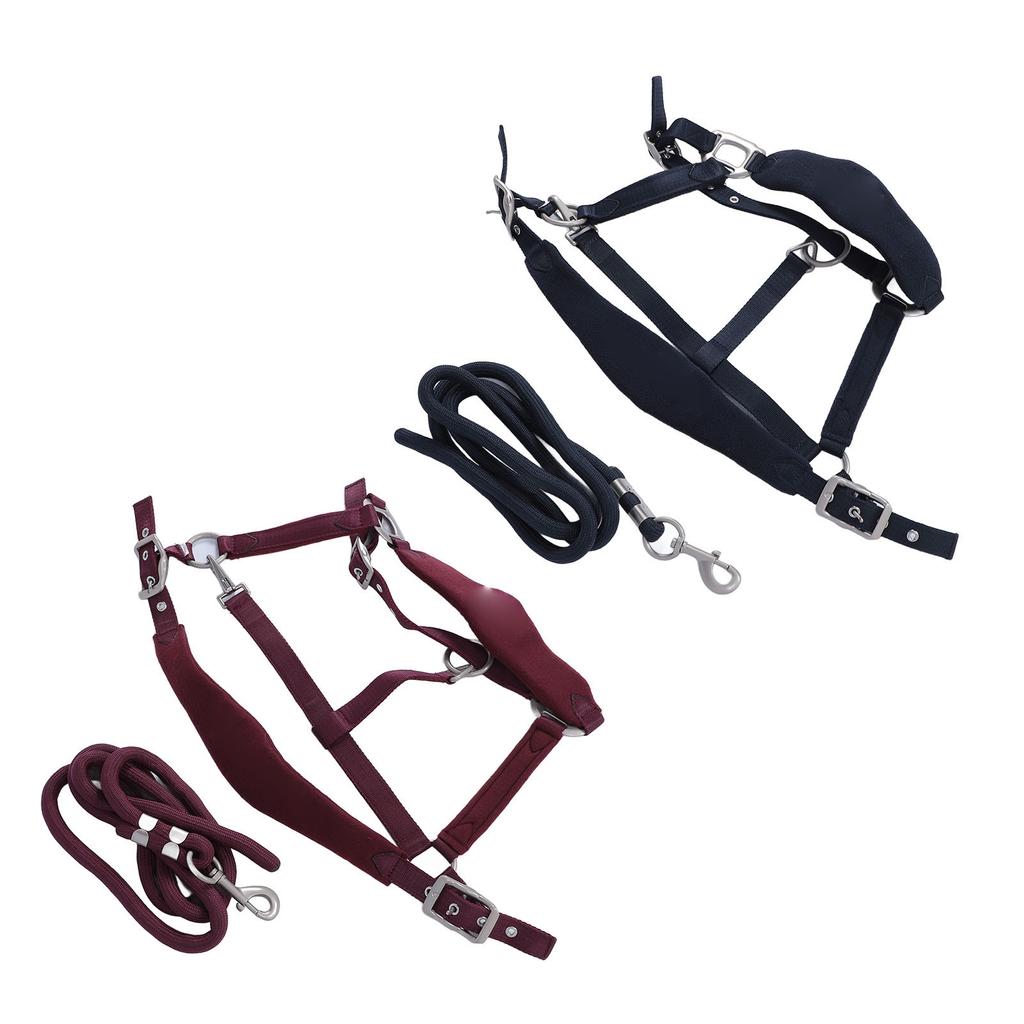 Horse Halter Set Prevent Rubbing Adjustable Horse Training Halter with 2m Horse Leash for Training D