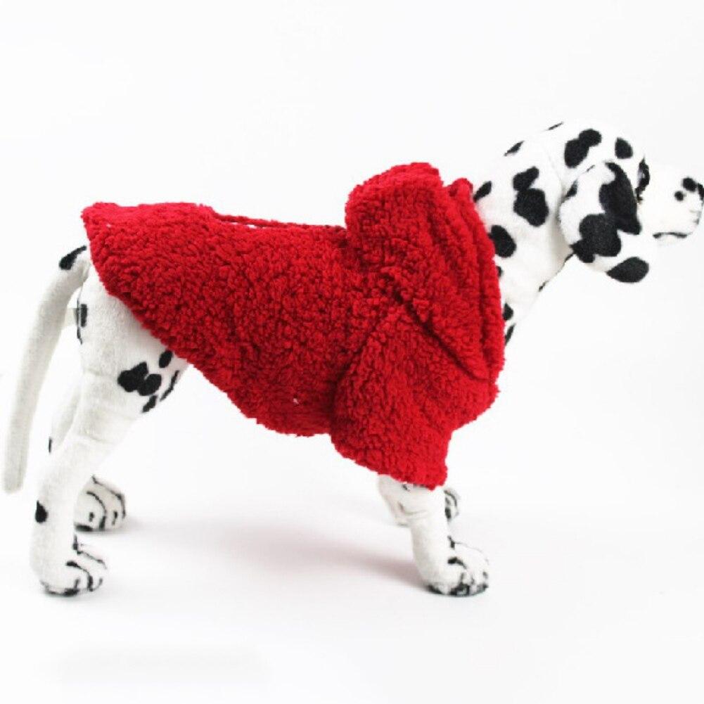 dalmatian dog clothes