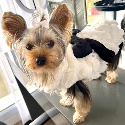 Giyim ve ayakkabı – Köpekler İçin Ceketler ve Montlar