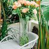 Flower Vase Elegant Cylinder Flower Vase for Wedding Party Centerpiece Dining Table Decor Transparent Hydroponic for Plants